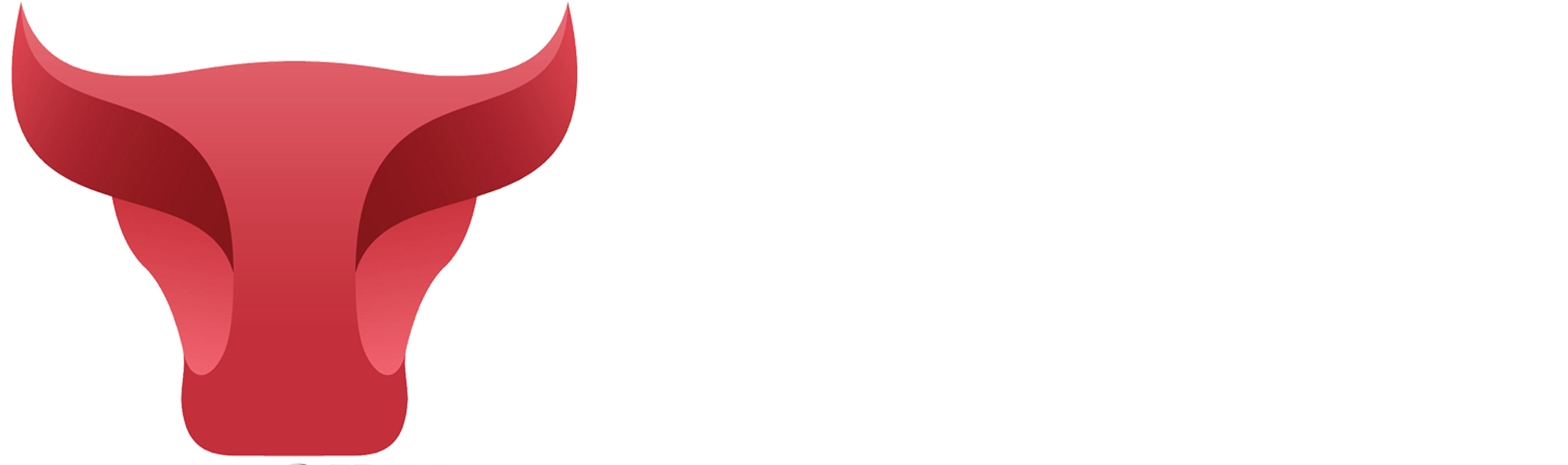 Butcher Craft wide logo